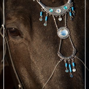 Custom made sieraad DeLuxe