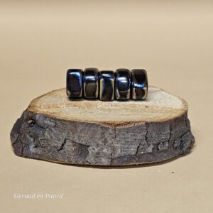 Magnetiet set van 5 stenen