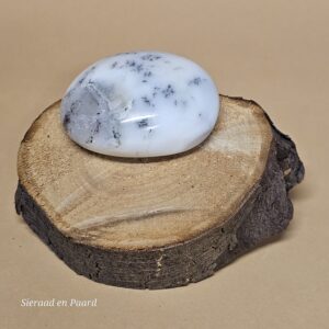 Agaat Dendriet Palmsteen