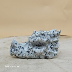 Kiwi Jaspis Draken Schedel