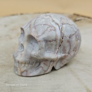 Spinnenweb Jaspis Schedel