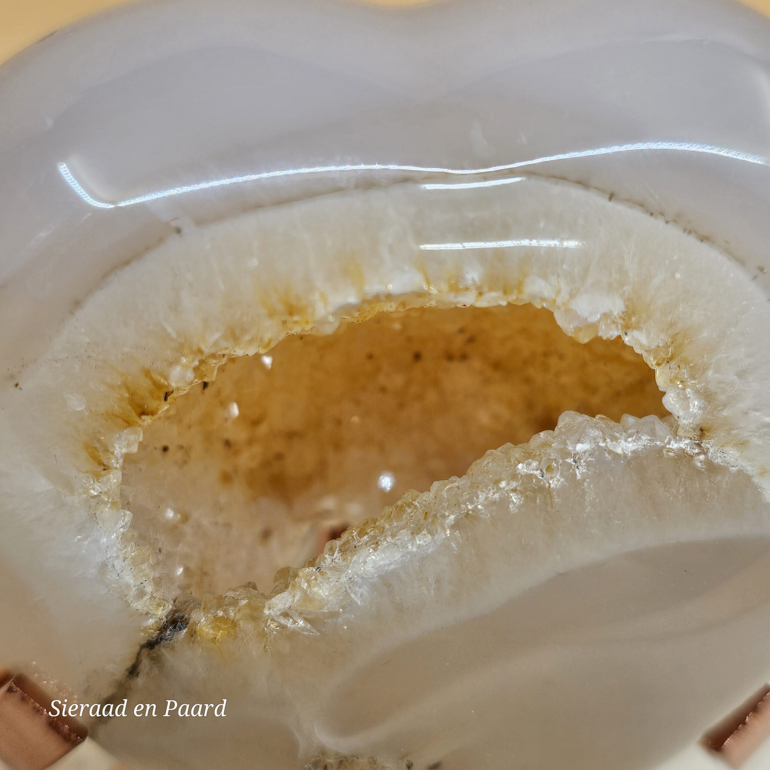 Bloemagaat Hart met Portaal - Afbeelding 8