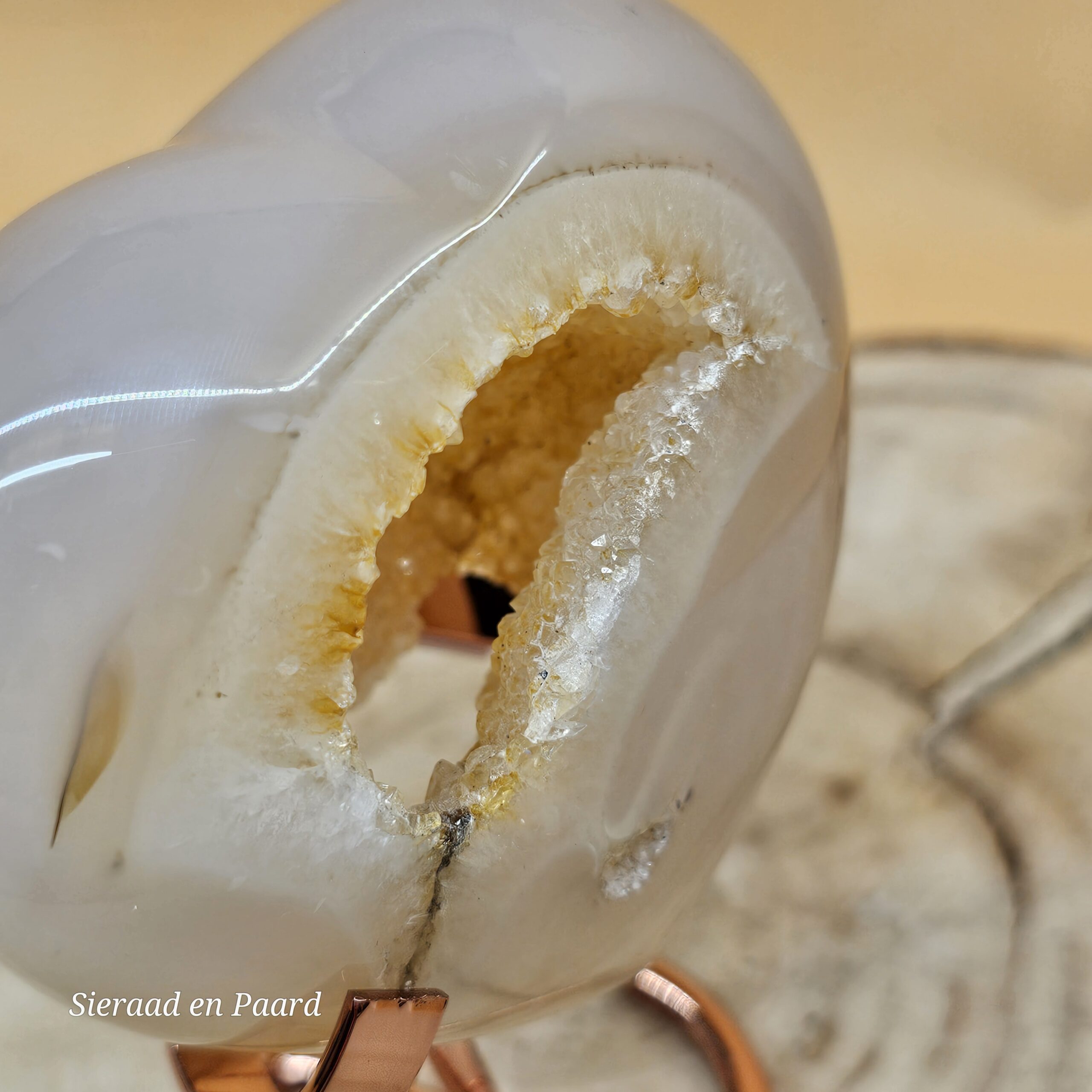 Bloemagaat Hart met Portaal - Afbeelding 3