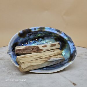 Groene Abalone Smudge Schelp met Palo Santo