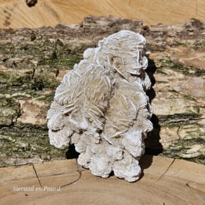 Woestijnroos Cluster