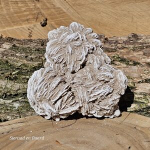 Woestijnroos Cluster