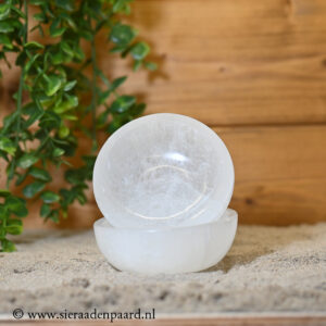 Selaniet Oplaad schaaltje 10 cm