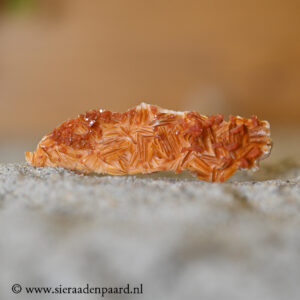 Vanadeniet LET OP. Is Giftig!