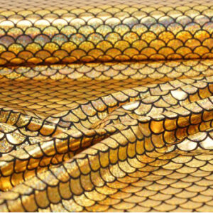 Manen beschermers Goud Schub